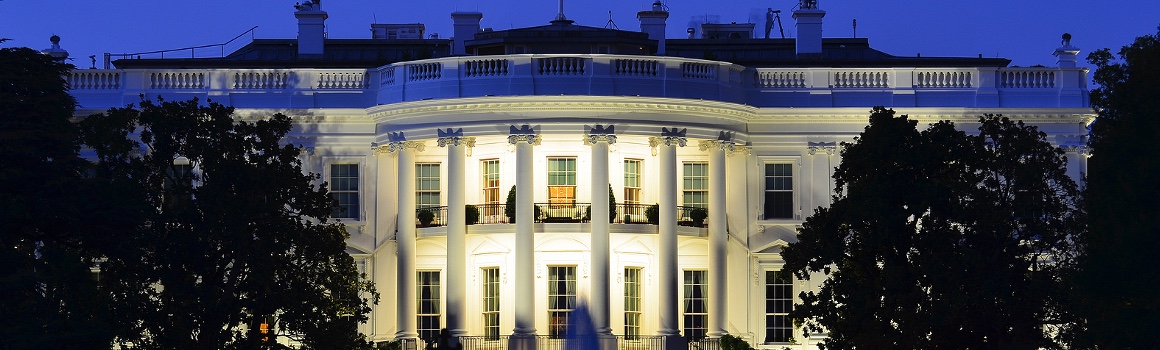 Cybersecurity in Government: Viewpoint 2021 – multi-client white Paper