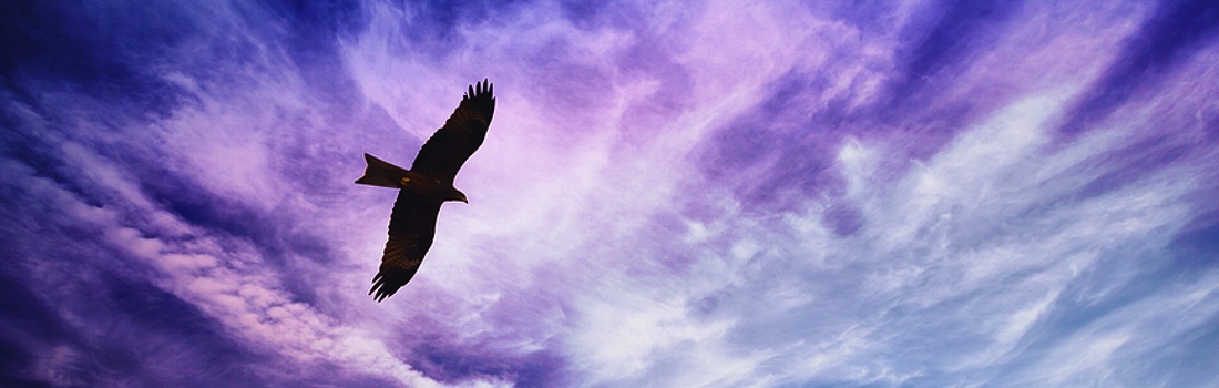 News – September 2, 2025