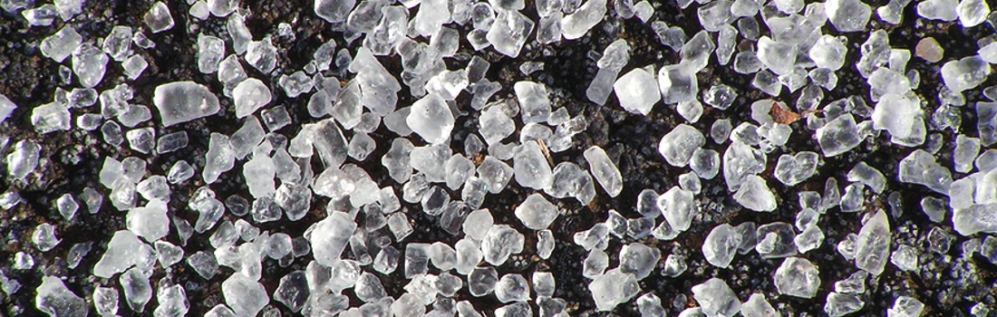 News – September 5, 2025