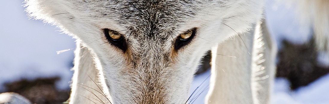 News – November 5, 2025