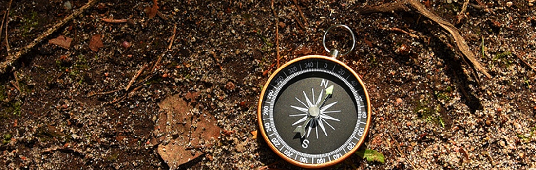 News – November 6, 2025