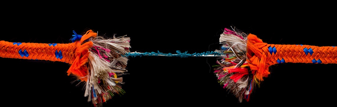 News – November 19, 2025