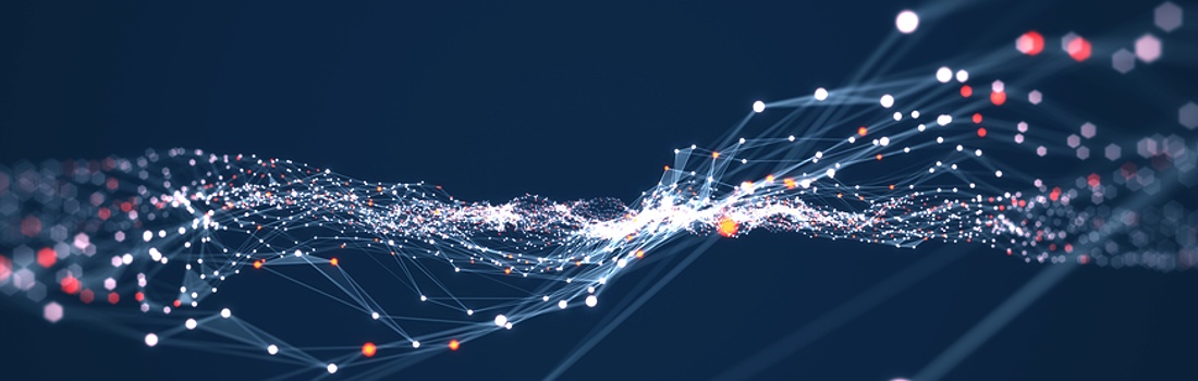 News – November 20, 2025