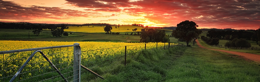 News – November 21, 2025