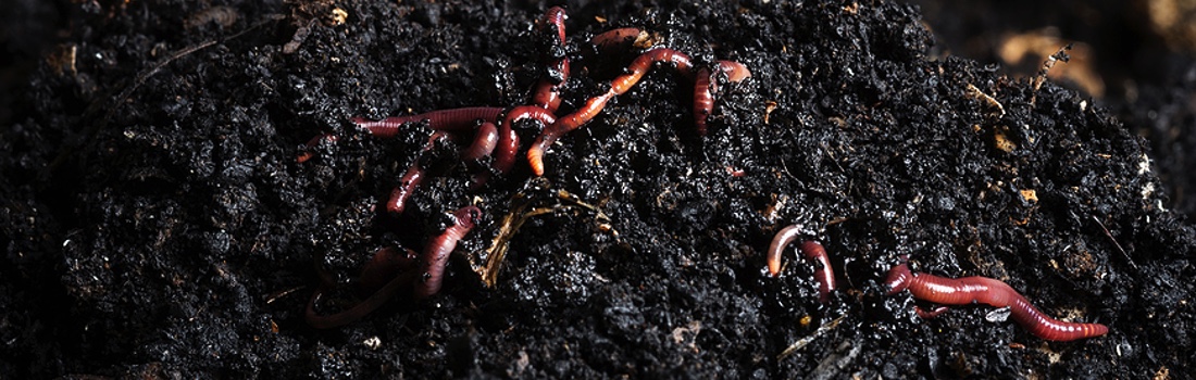 News – November 28, 2025