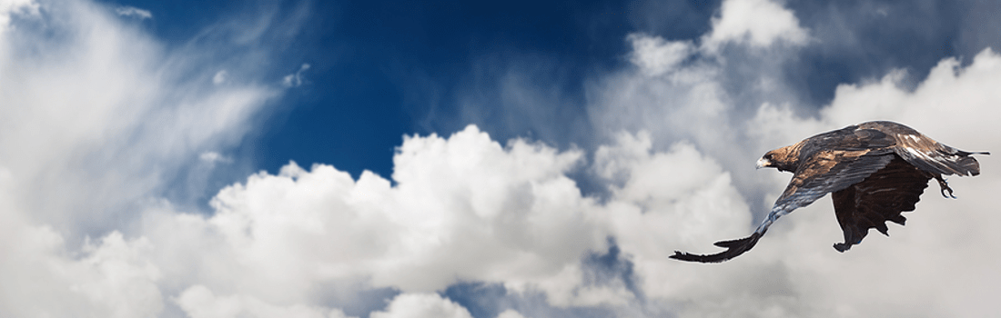 News – December 5, 2025